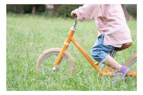 tokyobike paddle