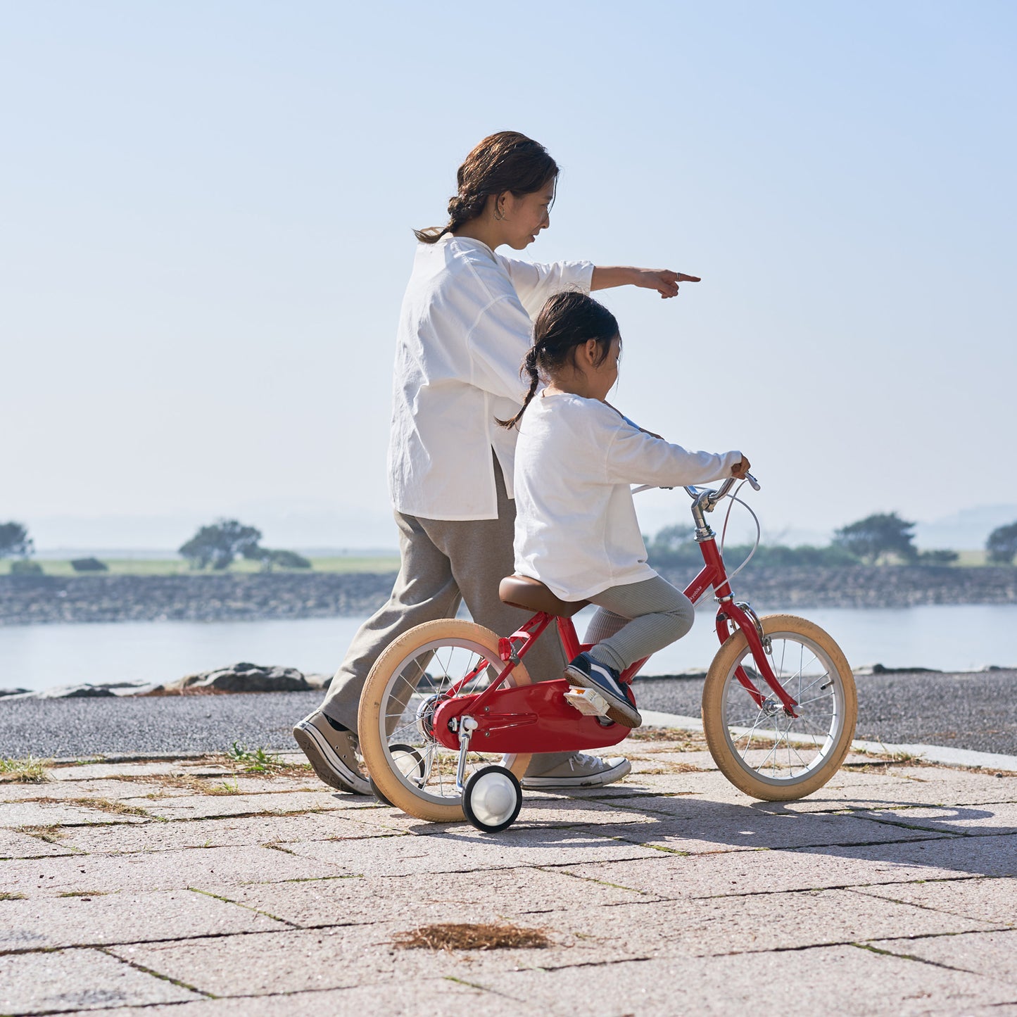 little tokyobike(泥除け/カゴカスタム)