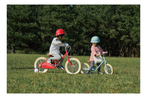 tokyobike paddle