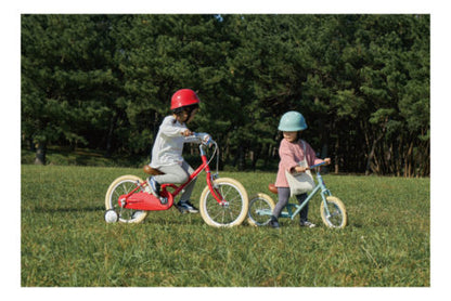 tokyobike paddle